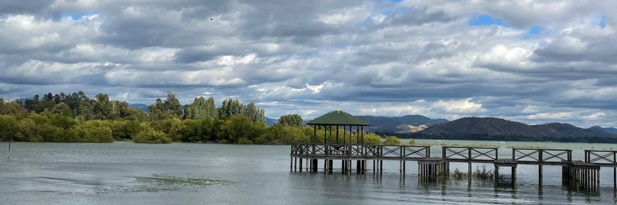 Las Cabras - Lago Rapel, ,Sitio,Venta,1020