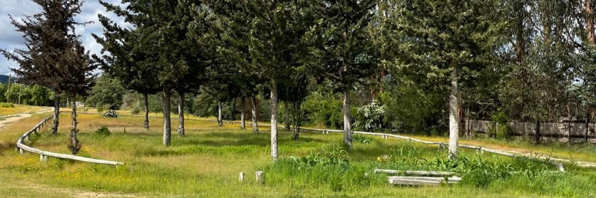 Las Cabras - Lago Rapel, ,Sitio,Venta,1020