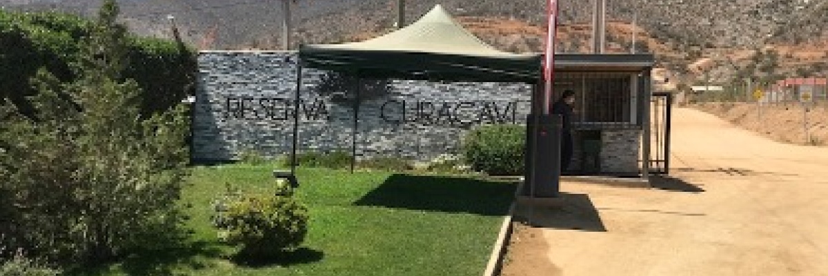 Curacaví, ,Sitio,Venta,1021