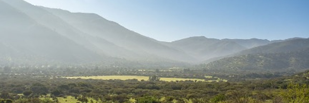 Curacaví, ,Sitio,Venta,1021