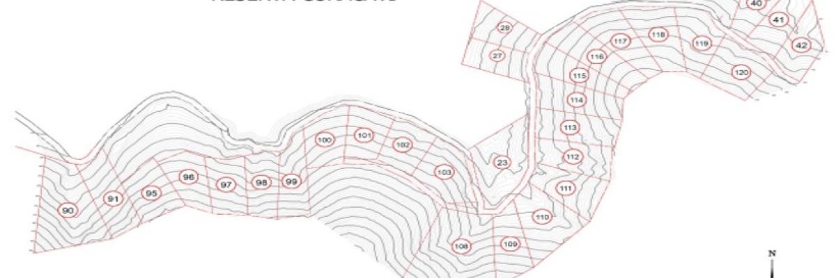 Curacaví, ,Sitio,Venta,1021