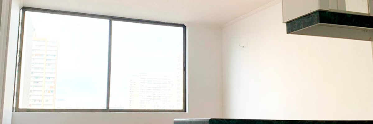 Santiago, 1 Dormitorio Habitaciones, ,1 BañoBathrooms,Departamento,Venta,1003
