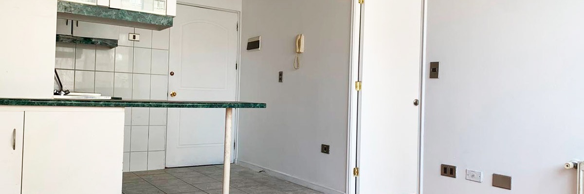Santiago, 1 Dormitorio Habitaciones, ,1 BañoBathrooms,Departamento,Venta,1003