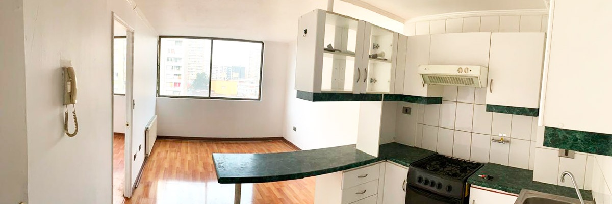 Santiago, 1 Dormitorio Habitaciones, ,1 BañoBathrooms,Departamento,Venta,1003