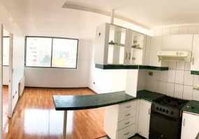 Santiago, 1 Dormitorio Habitaciones, ,1 BañoBathrooms,Departamento,Venta,1003